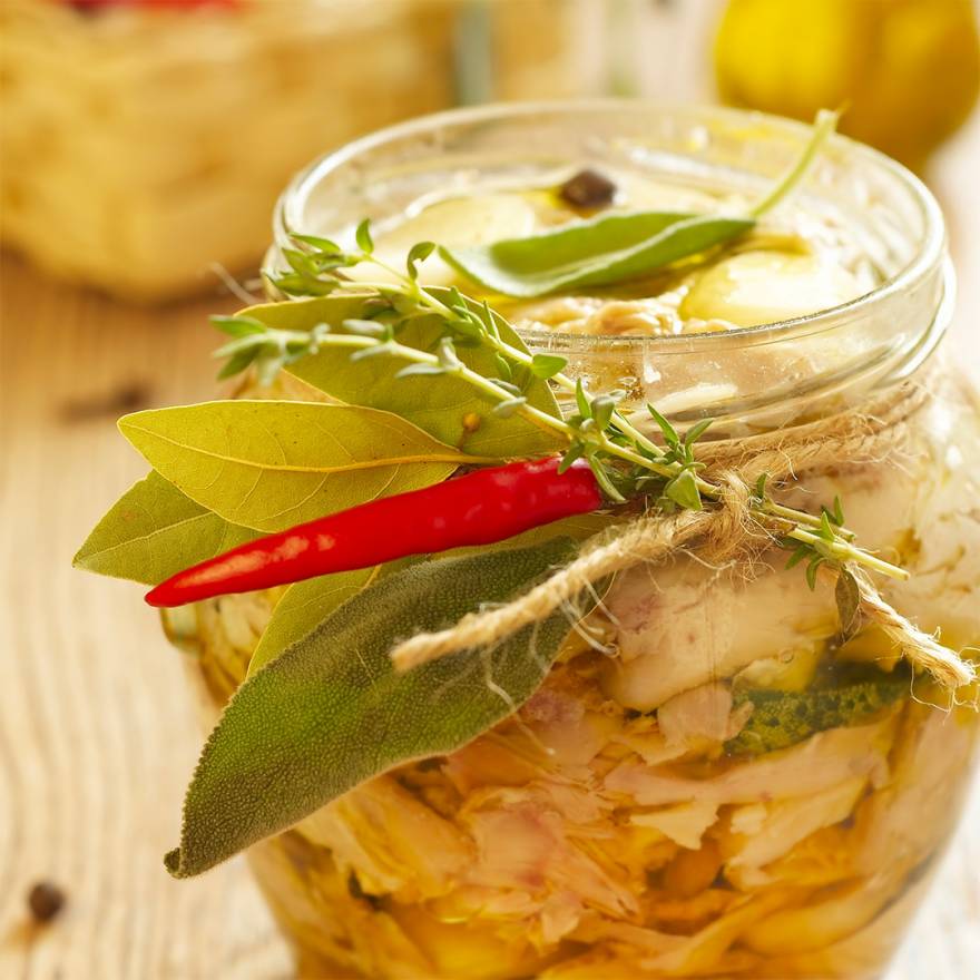 Rabbit Tuna